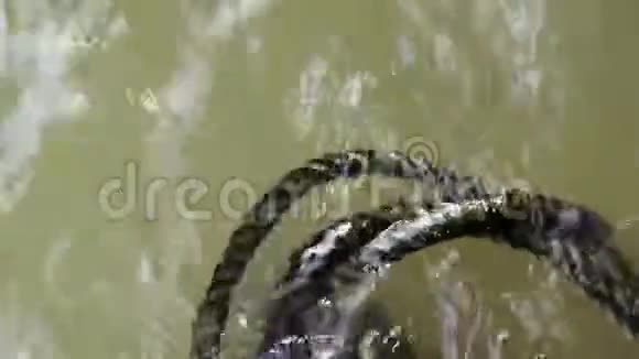 藻类覆盖的绳子漂浮在水上视频的预览图