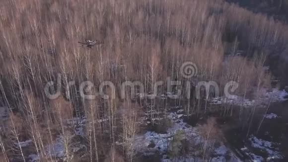 无人驾驶飞机在树木上方飞行并在晴天拍摄冬季或春季森林景观的视频视频的预览图