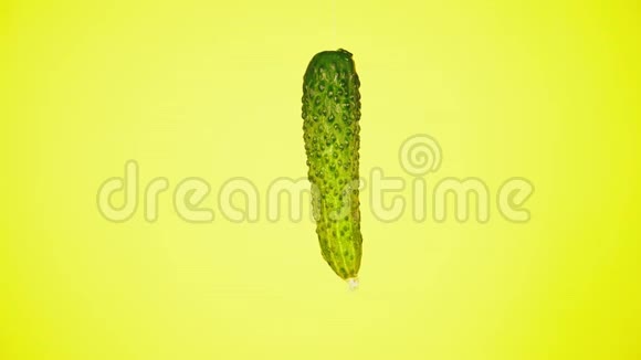 新鲜黄瓜随着水珠掉落营养的概念在黄色背景下减速视频的预览图