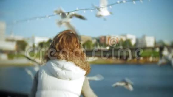 一位年轻女子在吃海鸥河喂鸟视频的预览图