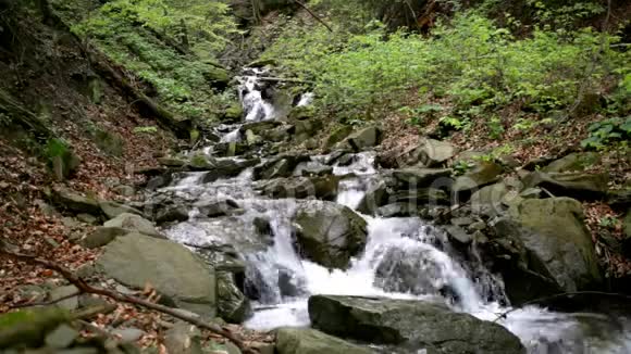 山瀑布落在绿林间的岩石小径上自然界的流动水视频的预览图