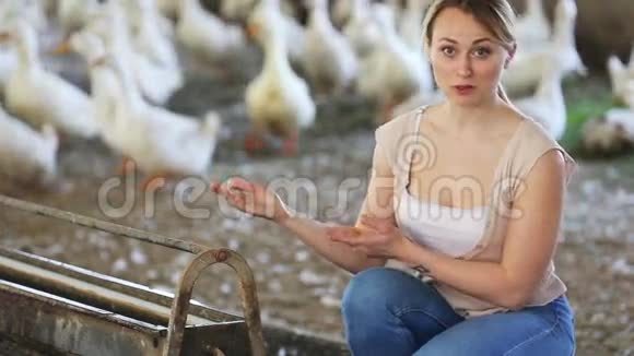 女农民和鸭子摆姿势视频的预览图