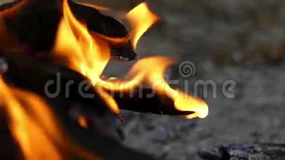 在草坪上用木头缓慢移动的篝火的特写视频的预览图