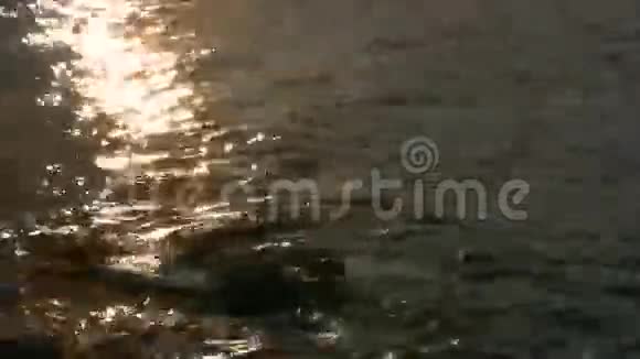 日落的大海闪闪发光视频的预览图