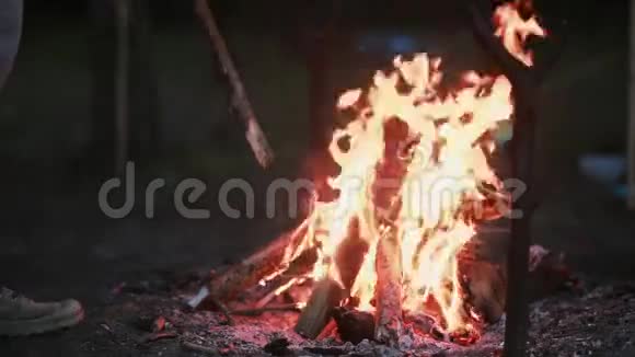 夜间燃木观打开壁炉一个人走到那里加了一些木头视频的预览图