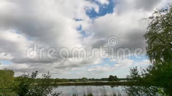 夏天飘过湿地和树木的云层时间流逝视频的预览图