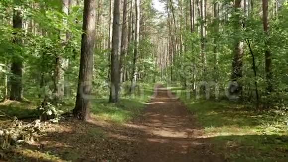 在森林里的小路上行走的个人视角视频的预览图