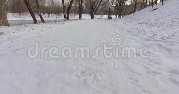 摄像机在沿着河流的公园快速移动树木长出了雪视频的预览图