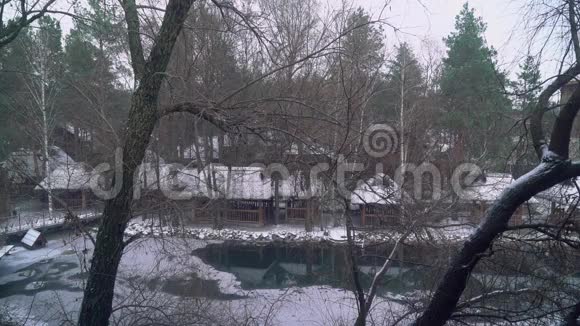 乌克兰村庄的湖面上下雪雪花飘落湖面周围树木生长视频的预览图