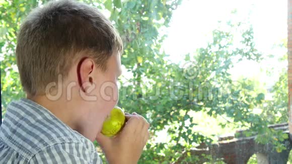 男孩吃苹果看窗户视频的预览图