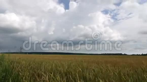 时间流逝白云在蓝天上飞过黄田小麦视频的预览图
