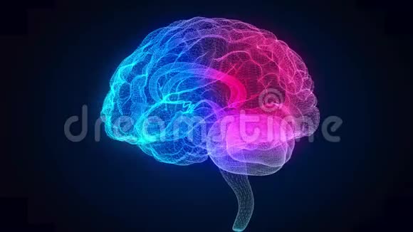 旋转人脑发光蓝光线的人脑模型三维无缝循环运动动画神经元视频的预览图