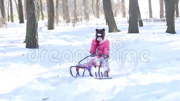 白雪皑皑的森林里的小女孩视频的预览图