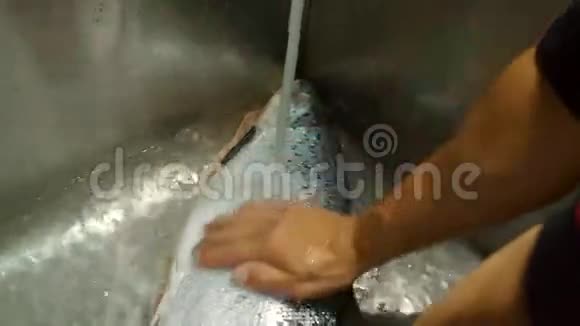 手转动洗鱼视频的预览图