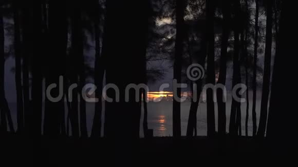漫步在海滩附近的黑暗森林中美丽的日落背景视频的预览图