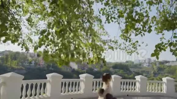 刚结婚的夫妇在城里散步桥视频的预览图