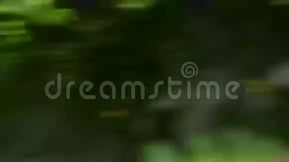 镜头追踪模糊在森林里奔跑视频的预览图