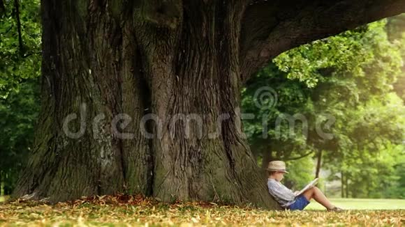 戴草帽的小男孩坐在树下读一本神奇的书视频的预览图
