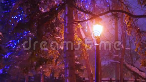 一盏夜灯照亮了公园的降雪视频的预览图