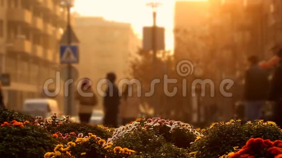 时间通行证视频色彩斑斓的花朵背景下模糊的城市景观与步行的人在金色的夕阳视频的预览图