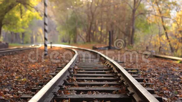 一个人走下火车轨道的背景金色秋天的森林一个人离开摄像机视频的预览图