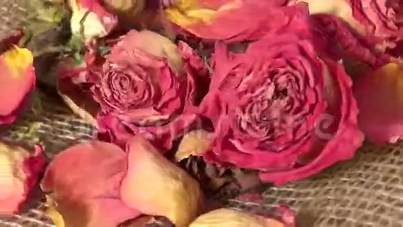 在背景上旋转的干玫瑰花的特写视频的预览图