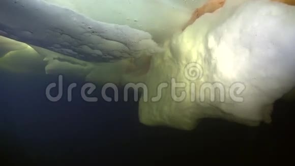 弥娜在白海的冰中潜游视频的预览图