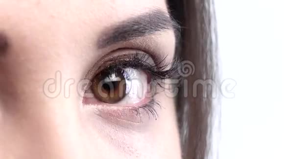 一只淡褐色的雌性眼睛眨眼关门视频的预览图