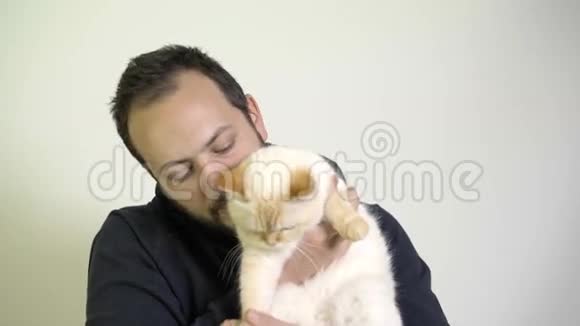 一个人把一只猫放在他的膝上红点暹罗视频的预览图