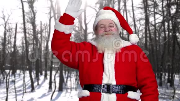 快乐的圣诞老人挥手视频的预览图