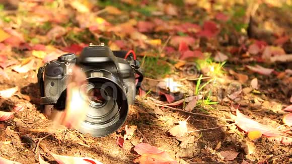 在一架黑色的单反相机上躺在地上秋天的树叶飘落视频的预览图