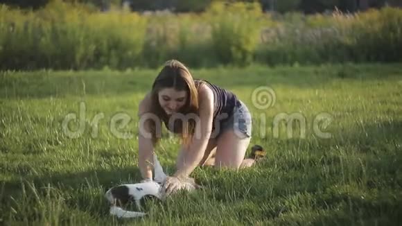 小女孩在公园里和白狗玩耍嬉戏晒太阳视频的预览图