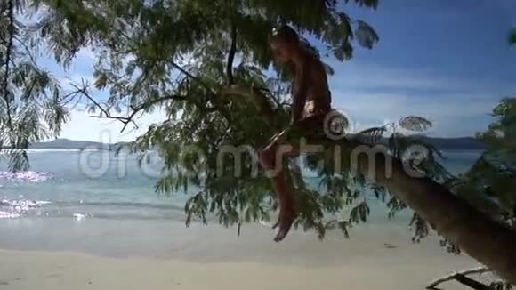 美丽的夏日美丽的海天相接美丽的金发女郎穿着五颜六色的泳装坐在树枝上视频的预览图
