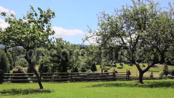 木制乡村别墅绿色草坪和蓝天视频的预览图