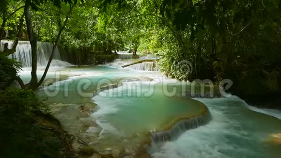 丛林景观与级联水流和自然游泳池视频的预览图