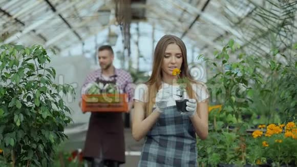 年轻迷人的花匠夫妇穿着围裙在温室里工作快乐的人拿着一盒鲜花走着说话视频的预览图