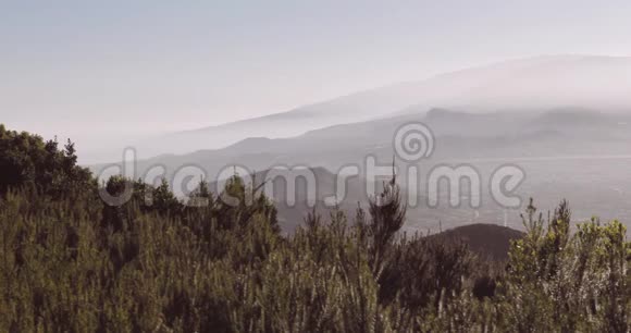 背景火山带景观特内里生活视频的预览图