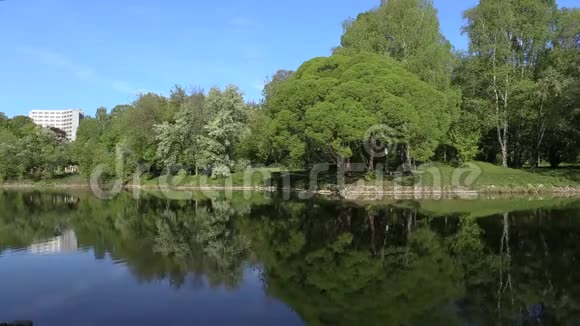 明亮的绿树倒映在镜湖里完美的背景循环视频的预览图