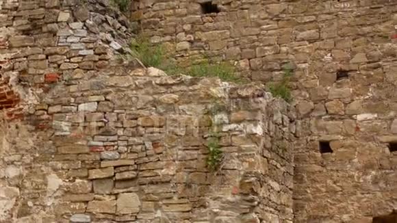 足迹复古石壁背景质感视频的预览图