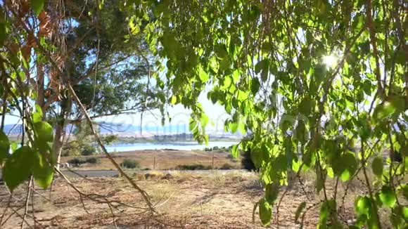 晨美景临亨肖湖视频的预览图
