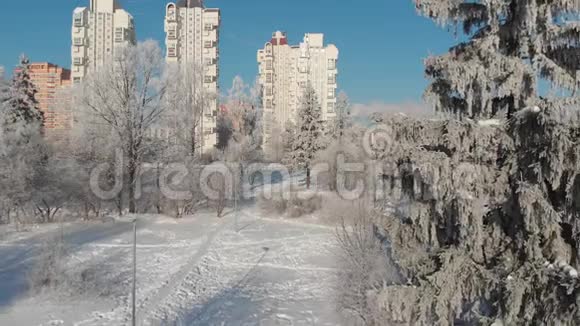 晴天雪覆盖的城市公园景观莫斯科俄罗斯视频的预览图