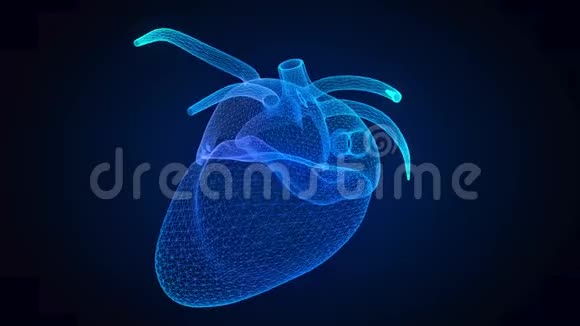 人体心脏的运动动画发光蓝线人体心脏三维模型视频的预览图