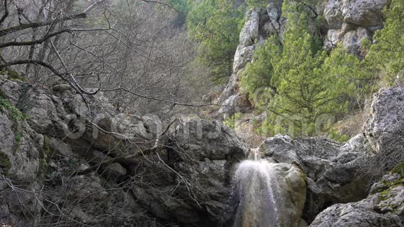 前面的水落在小山河上流动在石质河床上长满了苔藓纯淡水水视频的预览图
