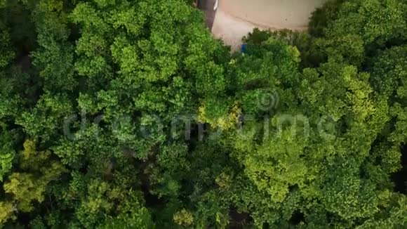 巴厘岛的门詹根从上面看到的无人机摄像头视频的预览图
