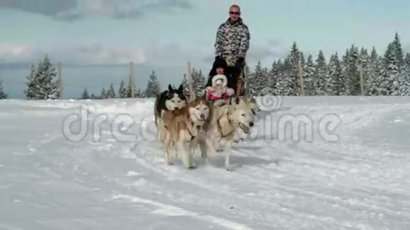 一家人喜欢和huskay雪橇一起骑马视频的预览图