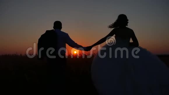 可爱的夫妇正穿过田野的轮廓相爱的夫妇夕阳剪影浪漫的男女视频的预览图