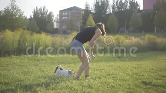 小女孩在公园里和白狗玩耍嬉戏晒太阳视频的预览图