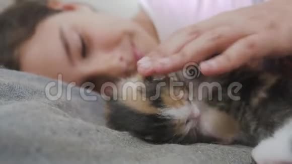 女孩和两只可爱的小猫的概念快乐的小女孩和猫在床上在家里女学生婴儿和猫对宠物的爱视频的预览图