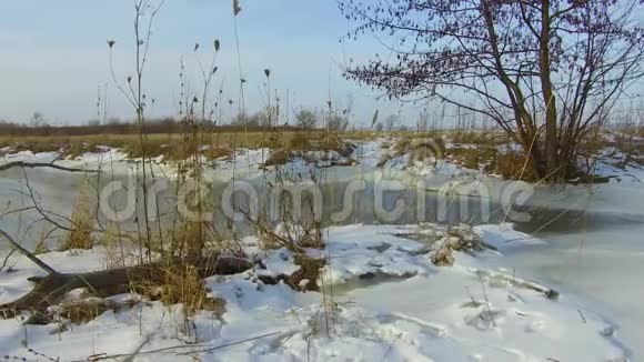 田野溪草冻了雪走了俄罗斯的户外枯树冬天的景观户外稳定视频的预览图