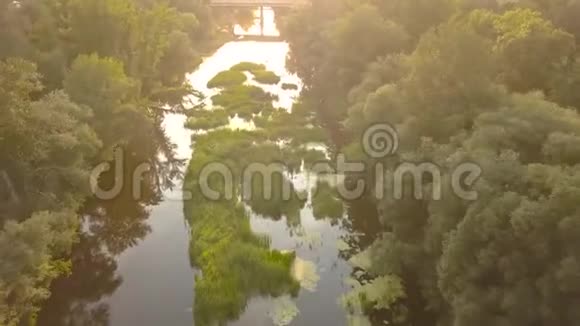 飞越长满青草的河流乌克兰被树木包围空中录像视频的预览图